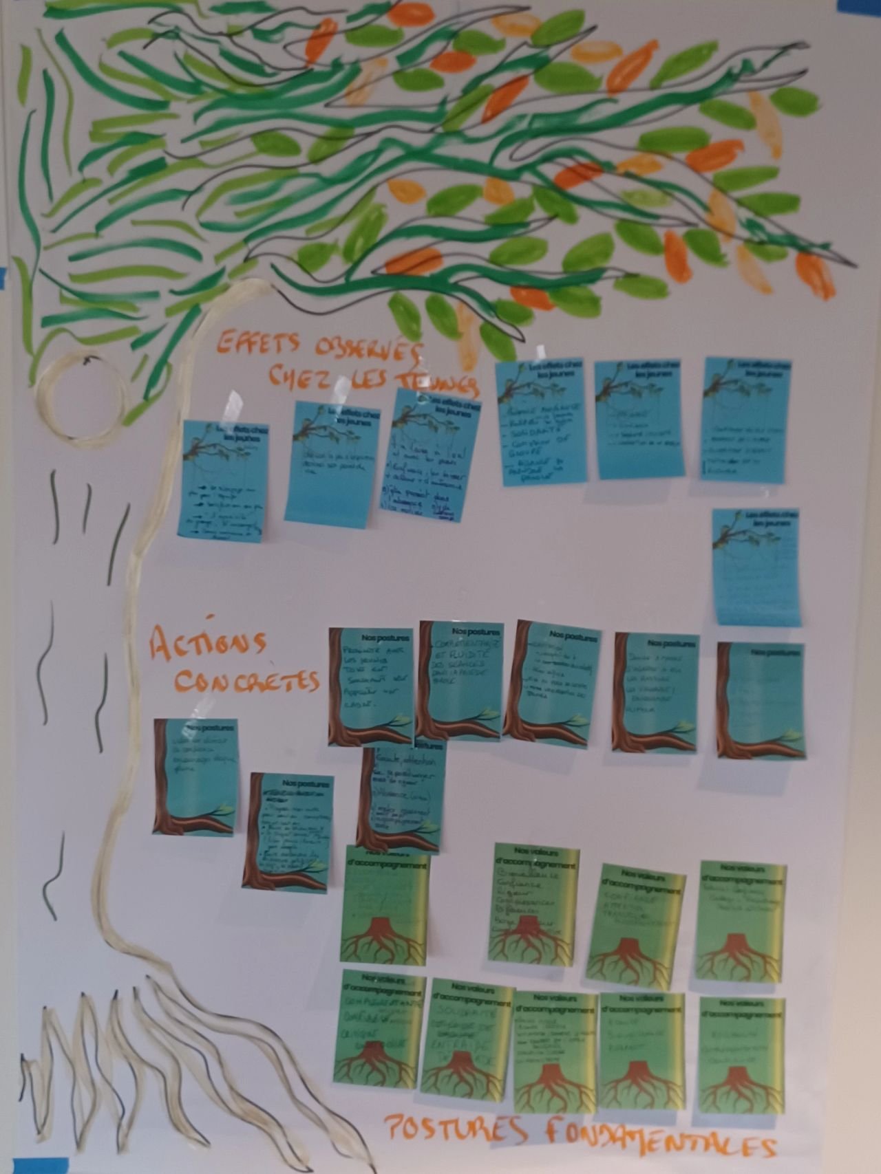 Arbre des postures fondamentales - CDJ